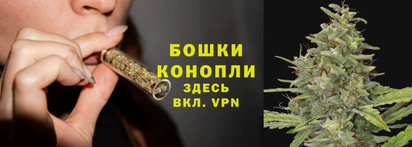 марки lsd Бородино