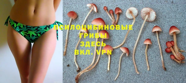 MESCALINE Переславль-Залесский