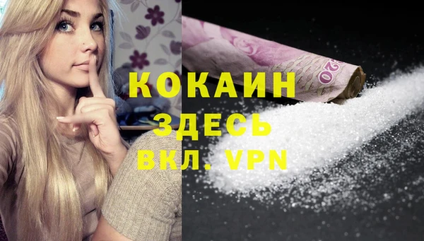 мяу мяу мука Осташков