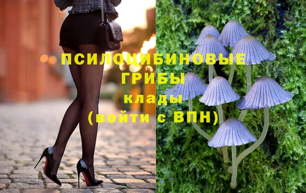 мяу мяу мука Осташков