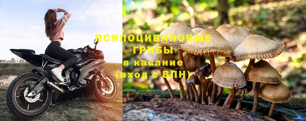 экстази Осинники