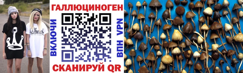 Псилоцибиновые грибы прущие грибы  где можно купить   Шарыпово 